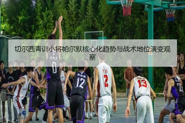 切尔西青训小将帕尔默核心化趋势与战术地位演变观察 | kaiyun